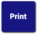 Worksheet Print Button