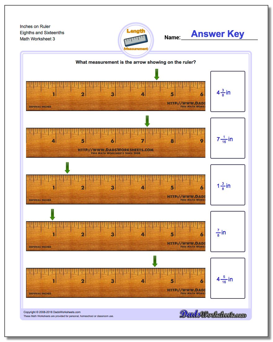 Inches on Ruler Eighths and Sixteenths Worksheet