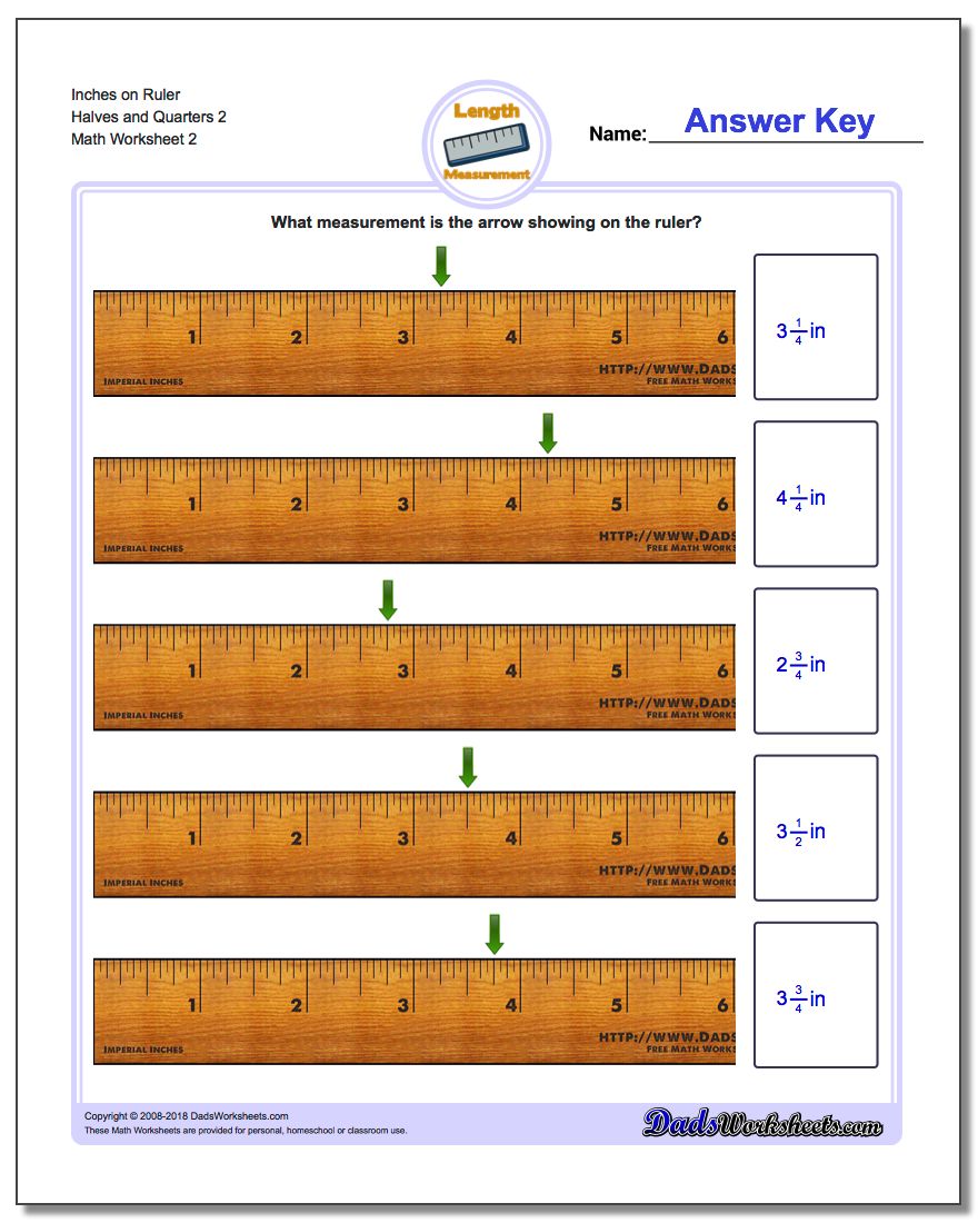 Inches on Ruler Halves and Quarters 2 www.dadsworksheets.com/worksheets/inches-measurement.html Worksheet