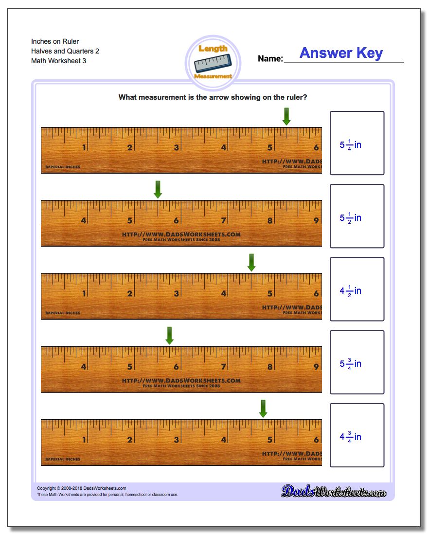 Inches on Ruler Halves and Quarters 2 Worksheet
