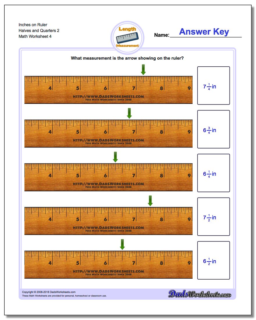 Inches on Ruler Halves and Quarters 2 Worksheet
