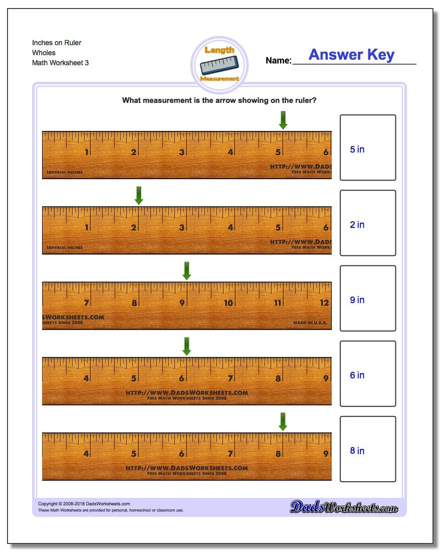 Inches on Ruler Wholes Worksheet