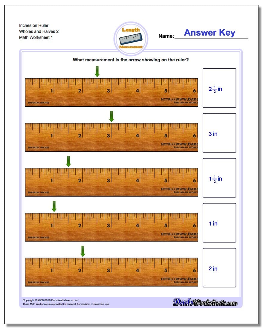 Inches Measurement Worksheet on Ruler Wholes and Halves 2