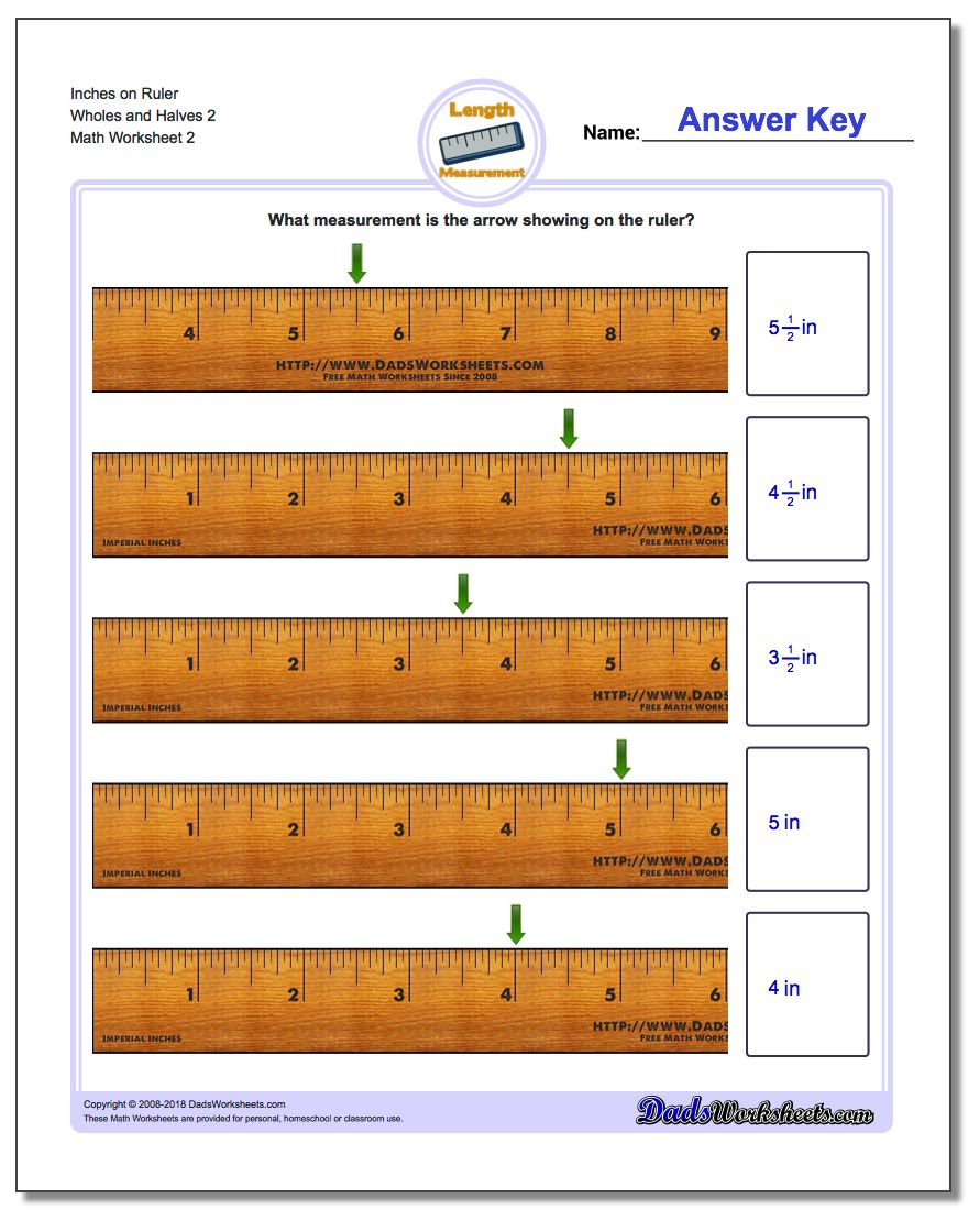 Inches on Ruler Wholes and Halves 2 www.dadsworksheets.com/worksheets/inches-measurement.html Worksheet