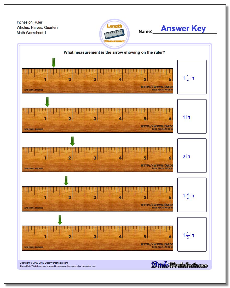 Inches Measurement Worksheet on Ruler Wholes, Halves, Quarters