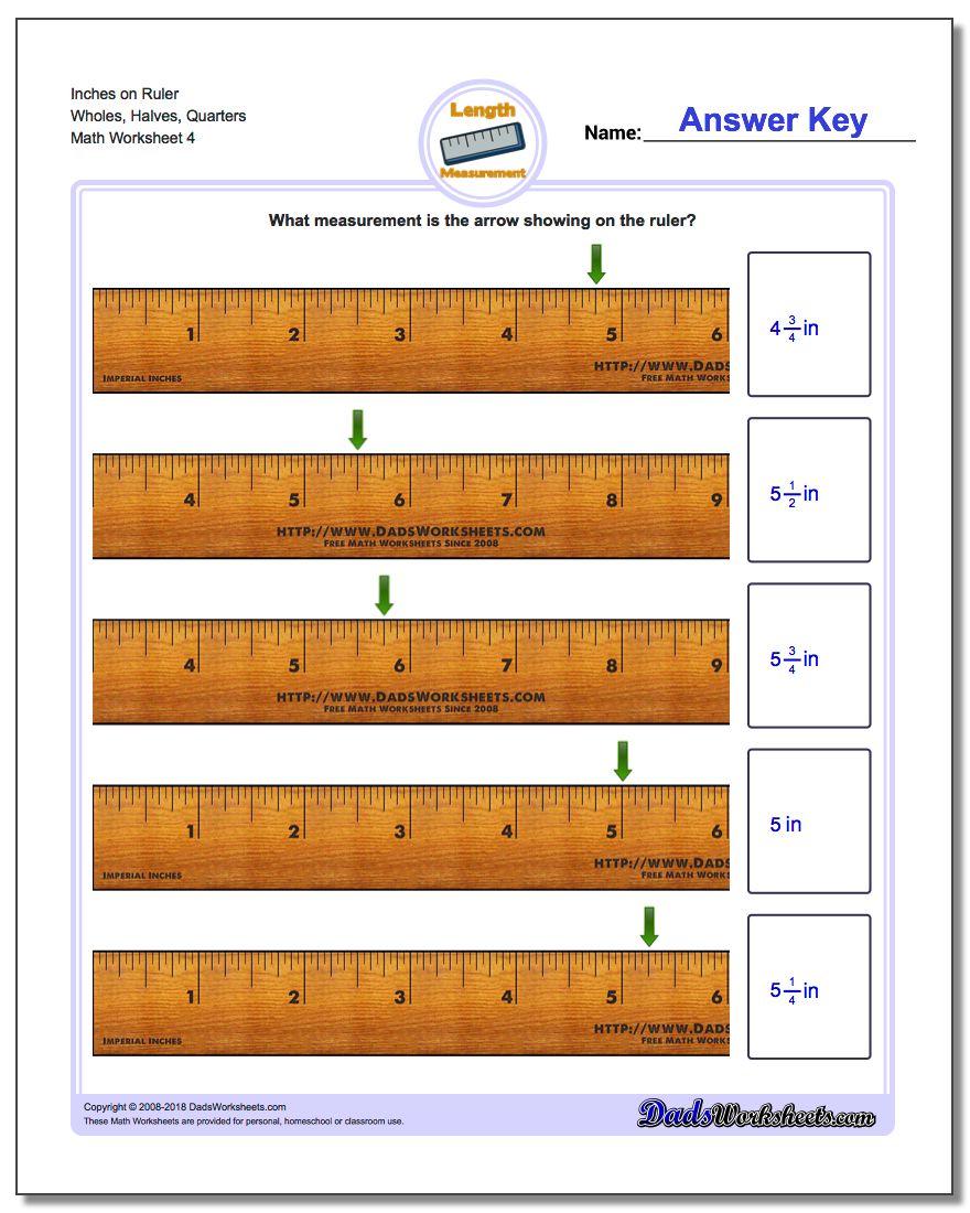Inches on Ruler Wholes, Halves, Quarters Worksheet