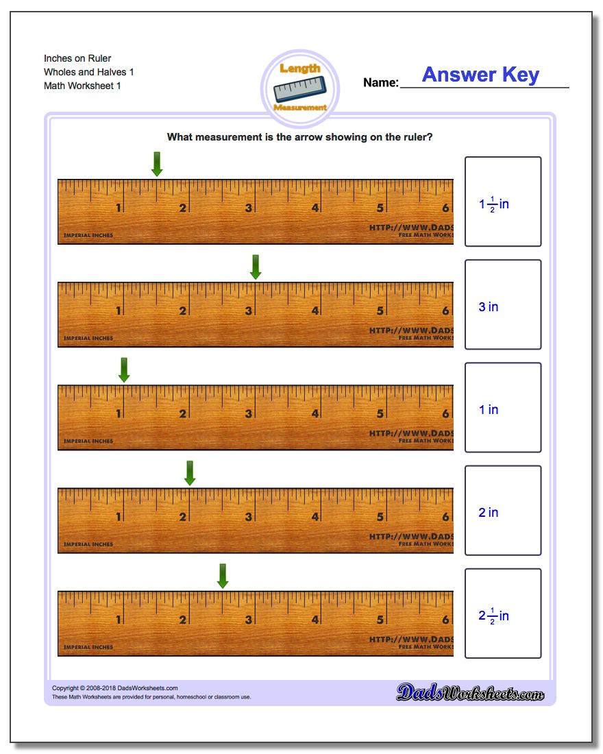 Inches Measurement Worksheet on Ruler Wholes and Halves 1