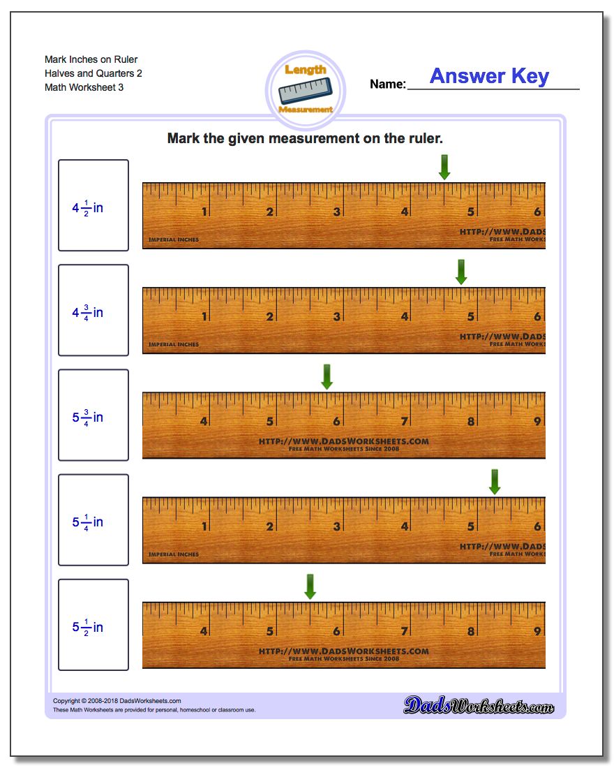 Mark Inches on Ruler Halves and Quarters 2 Worksheet