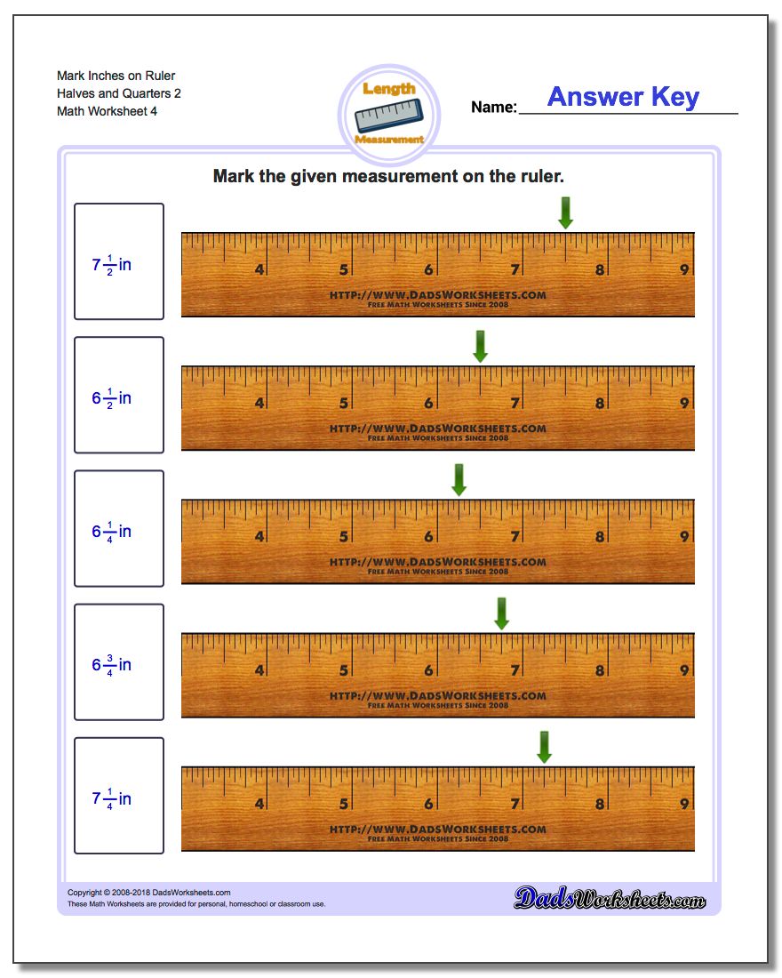 Mark Inches on Ruler Halves and Quarters 2 Worksheet