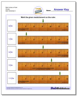 Inches Measurement