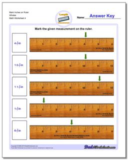 Inches Measurement