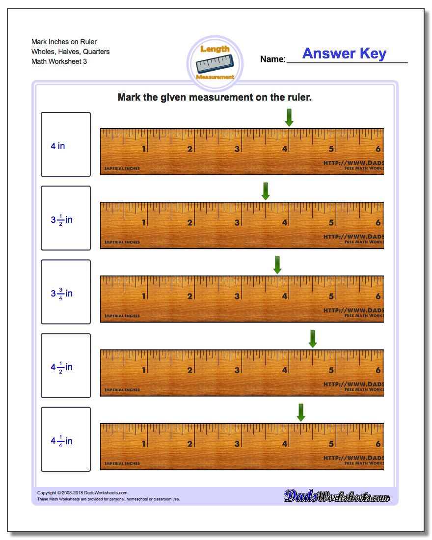 Mark Inches on Ruler Wholes, Halves, Quarters Worksheet
