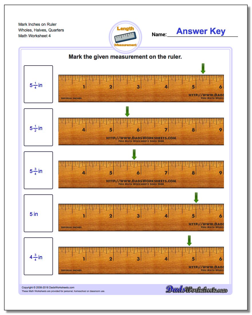 Mark Inches on Ruler Wholes, Halves, Quarters Worksheet