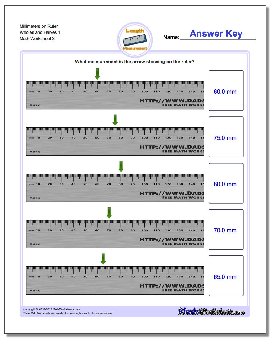 Millimeters on Ruler Wholes and Halves 1 Worksheet